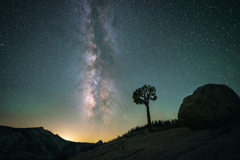 Quantum Consciousness Journey