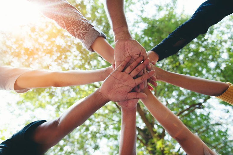 The Soul Family Membership