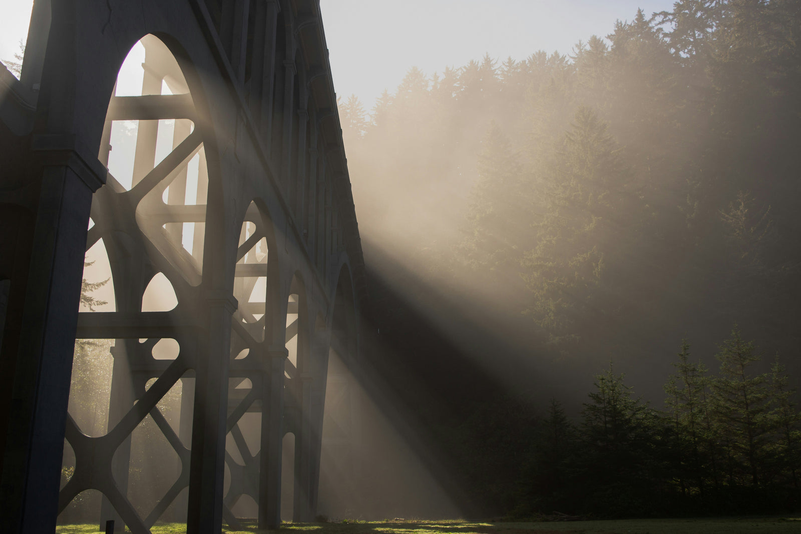 Bridging Science and Spirituality: The New Path to Personal Growth